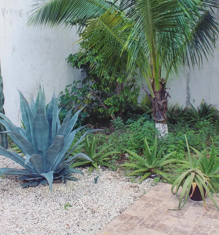 Guest house Rooms In Cancun Airport Mexico
